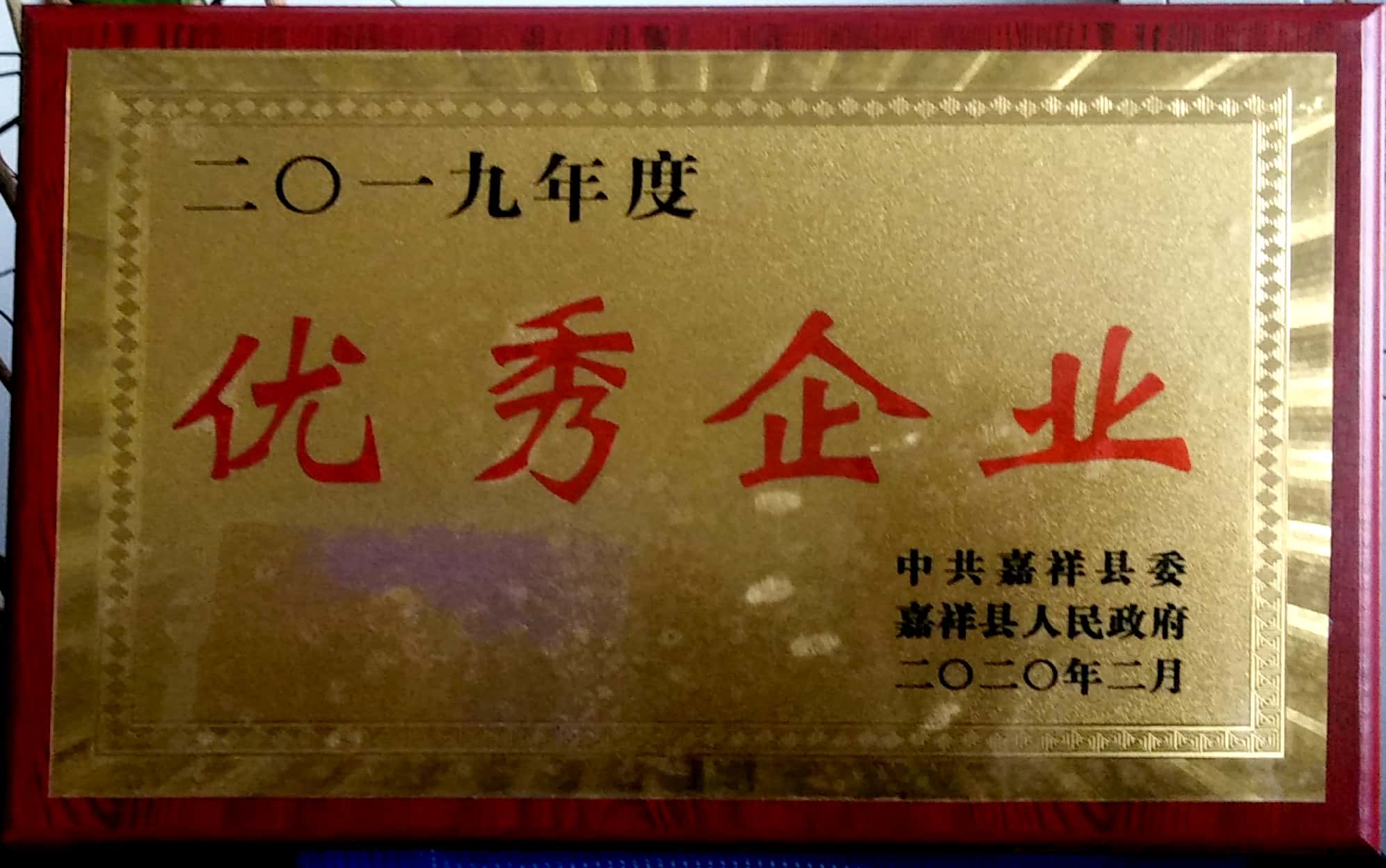 2019年优秀企业